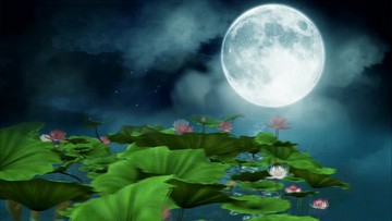 2021年会粒子线条大气文字开场AE模...