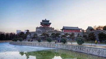 【鹿乡情】鹿系列养生酒